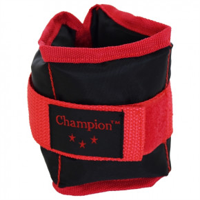  Champion 2   0,5  (00012)