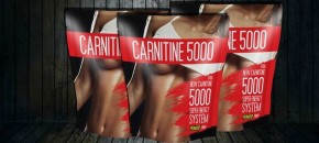  Power Pro Carnitine 5000,  0,5  4